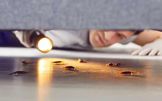 258356ceacfb9fe99fbeb70c0ca9