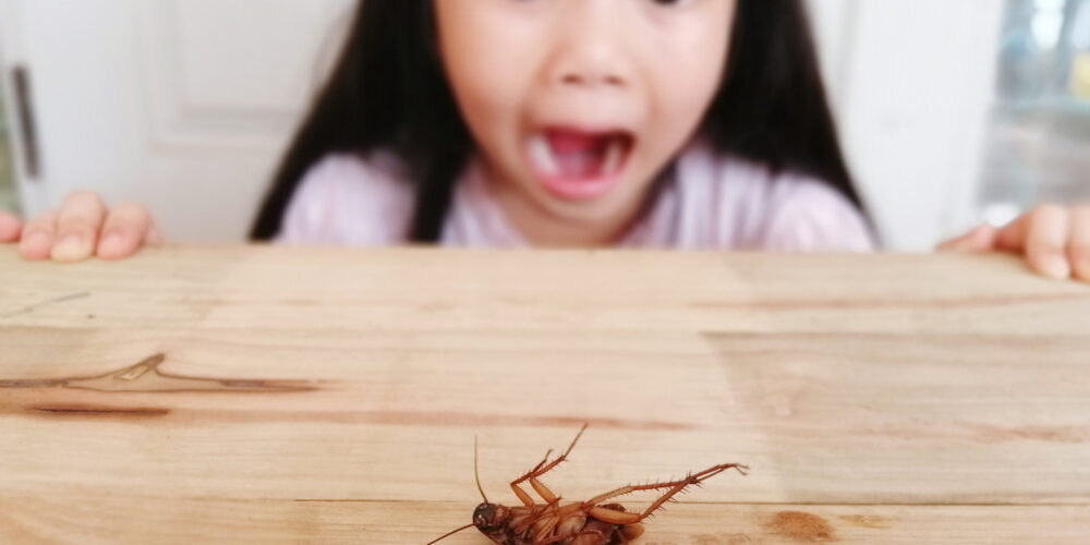 Photo taken in Muban Siwarat, Thailand