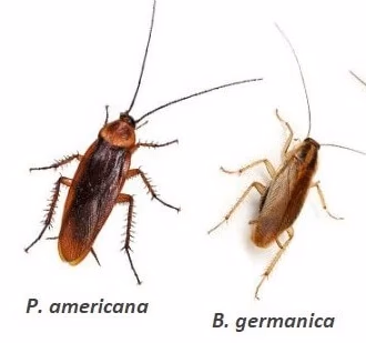 VT4rOPVHarD1aaLkGs5V9s1KuJg