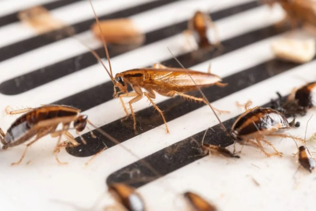 images_f9bb085e-7ab7-4794-a05d-b9b5d30a913b