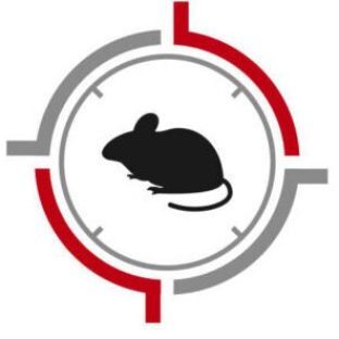 Pest control mouse rat logo design vector